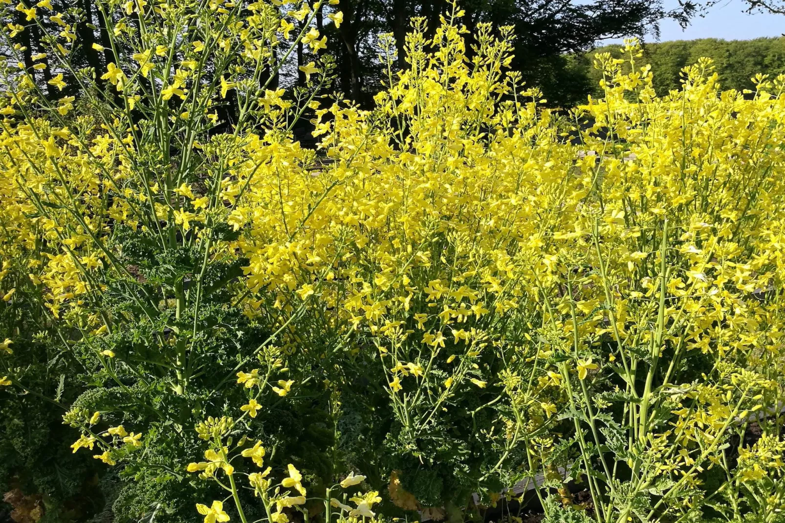 5 persoons vakantie huis in Sæby-By Traum-Niet-getagd