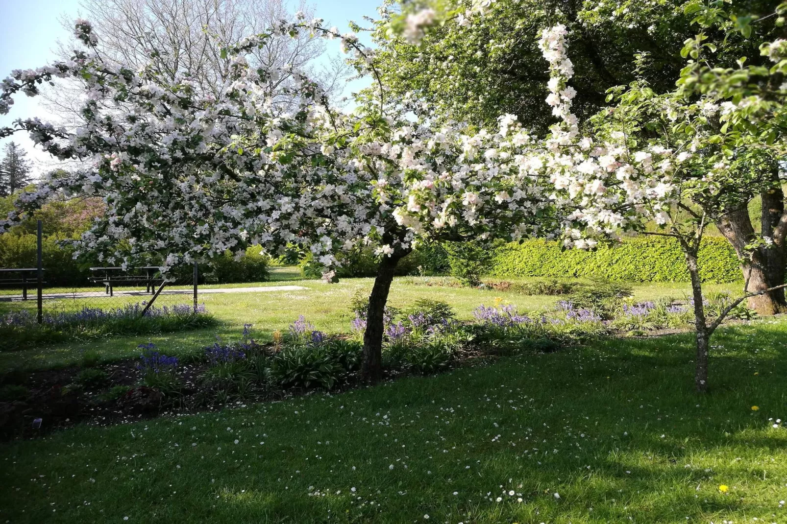 5 persoons vakantie huis in Sæby-By Traum-Niet-getagd