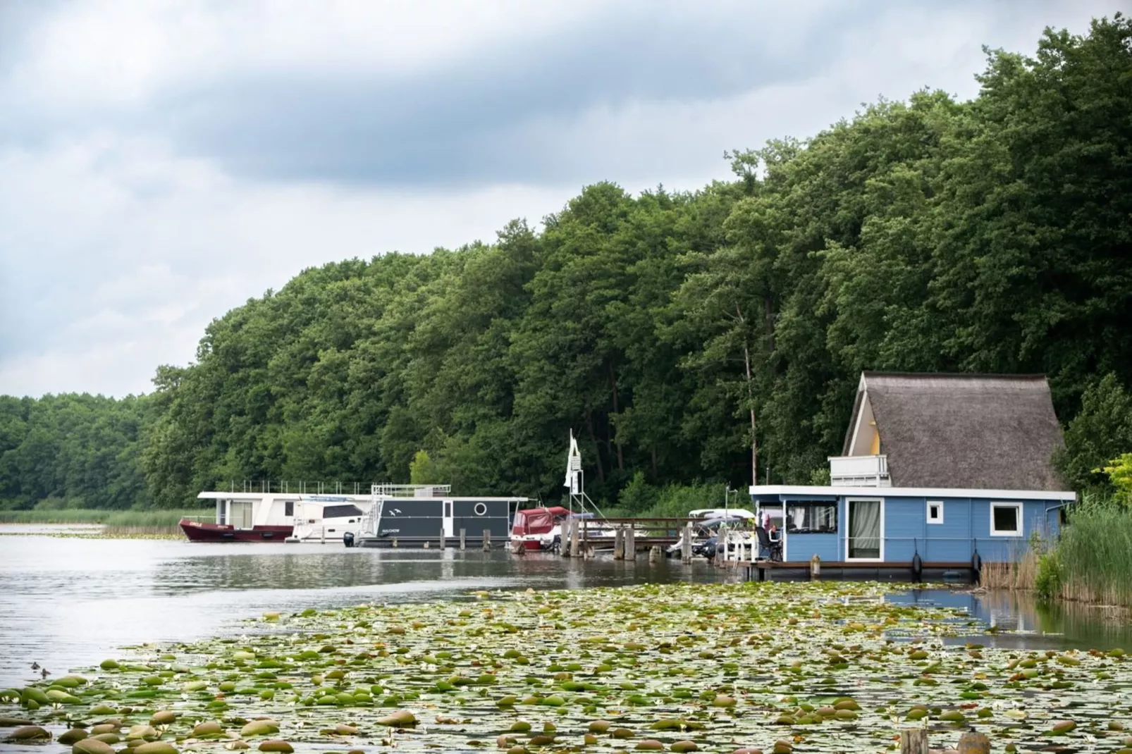 Eisvogel Classic 302-Gebieden zomer 1km