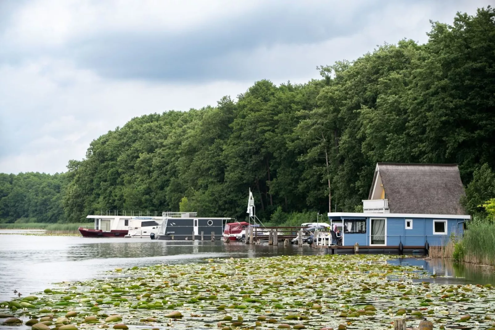 Eisvogel Classic 303-Gebieden zomer 1km