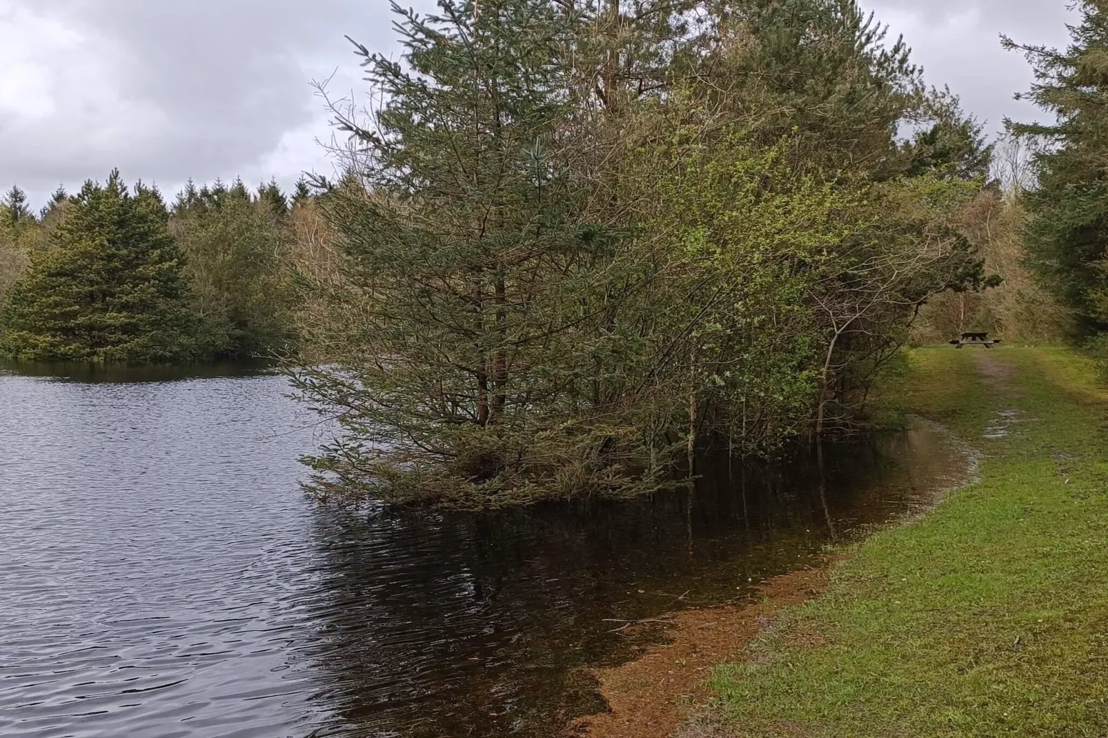 8 persoons vakantie huis in Oksbøl-Waterzicht