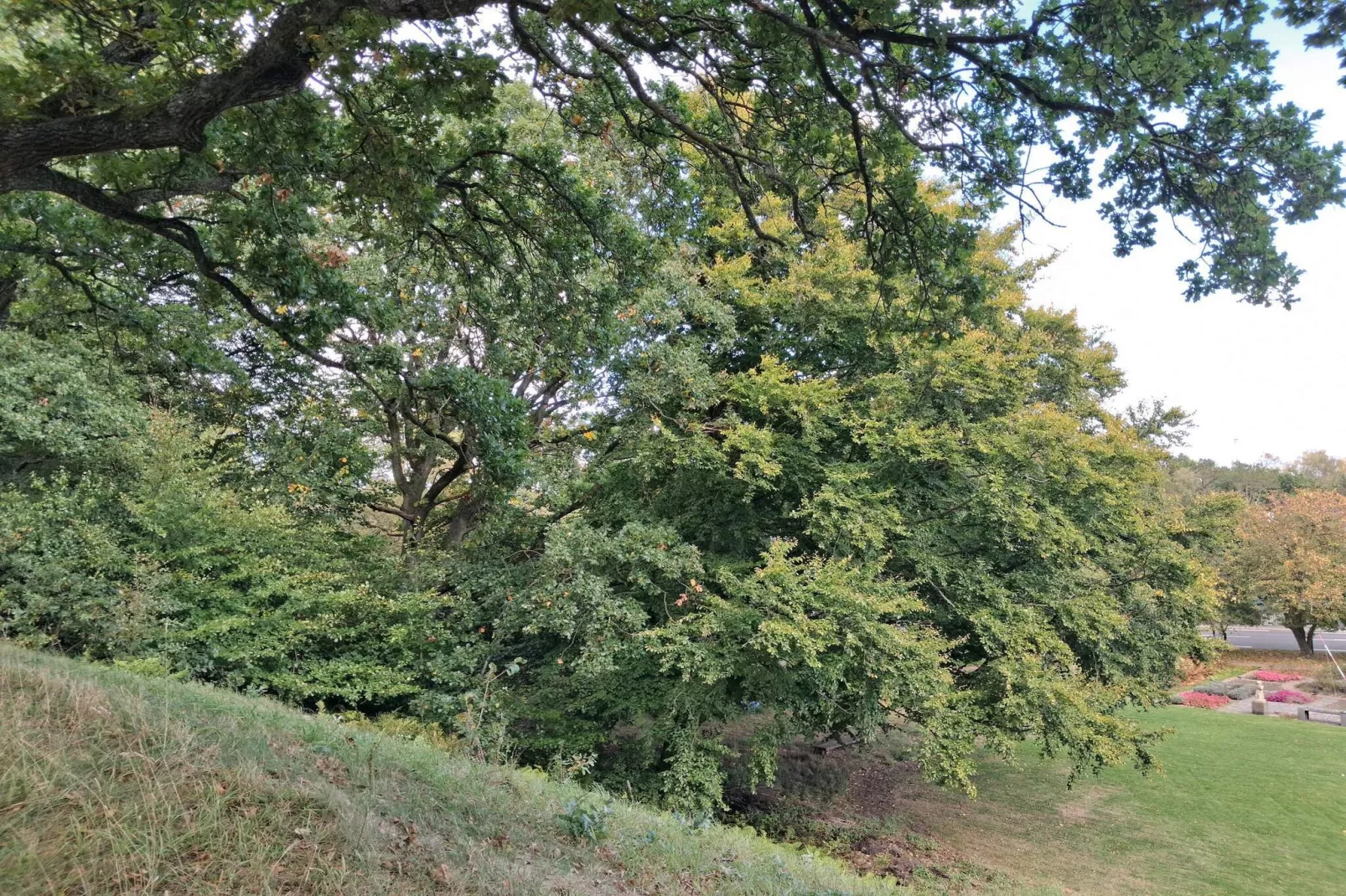 5 persoons vakantie huis in Sæby-By Traum-Niet-getagd