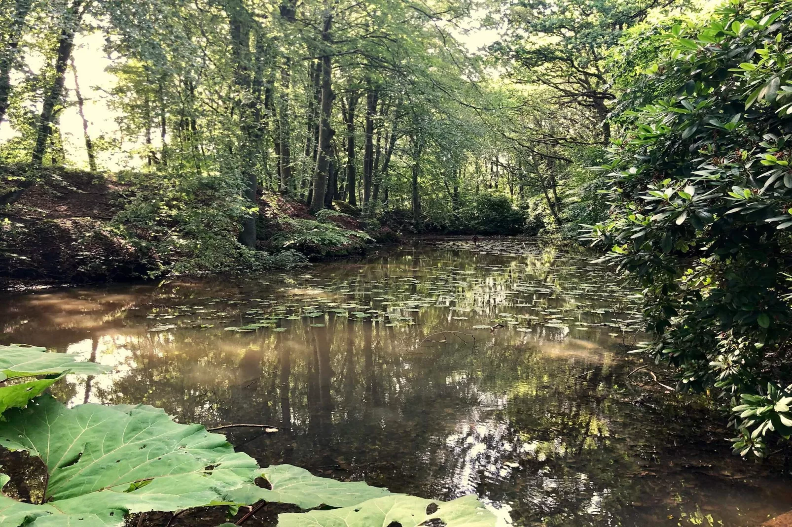 5 persoons vakantie huis in Sæby-By Traum