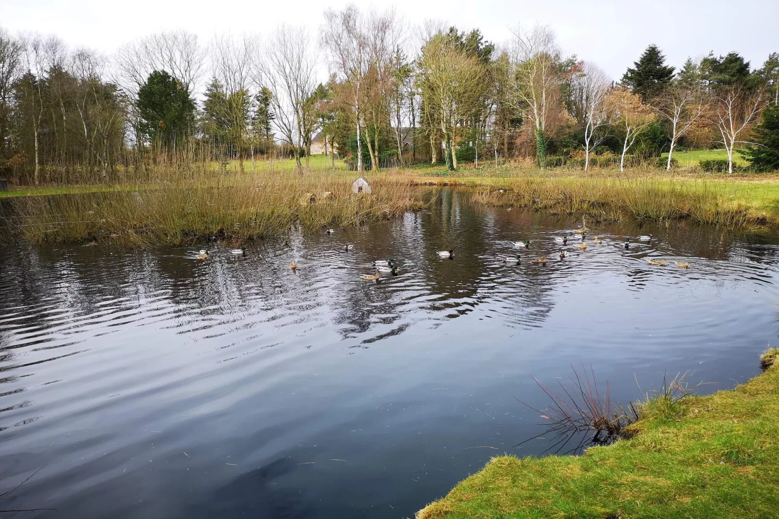 8 persoons vakantie huis in Oksbøl-Waterzicht