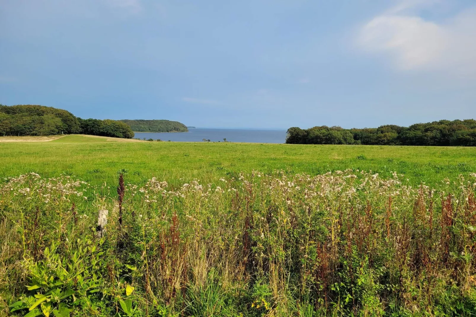 6 persoons vakantie huis in Roslev