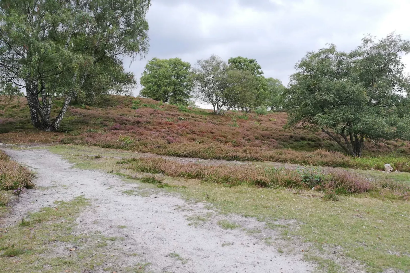 5 persoons vakantie huis in Fårvang-By Traum