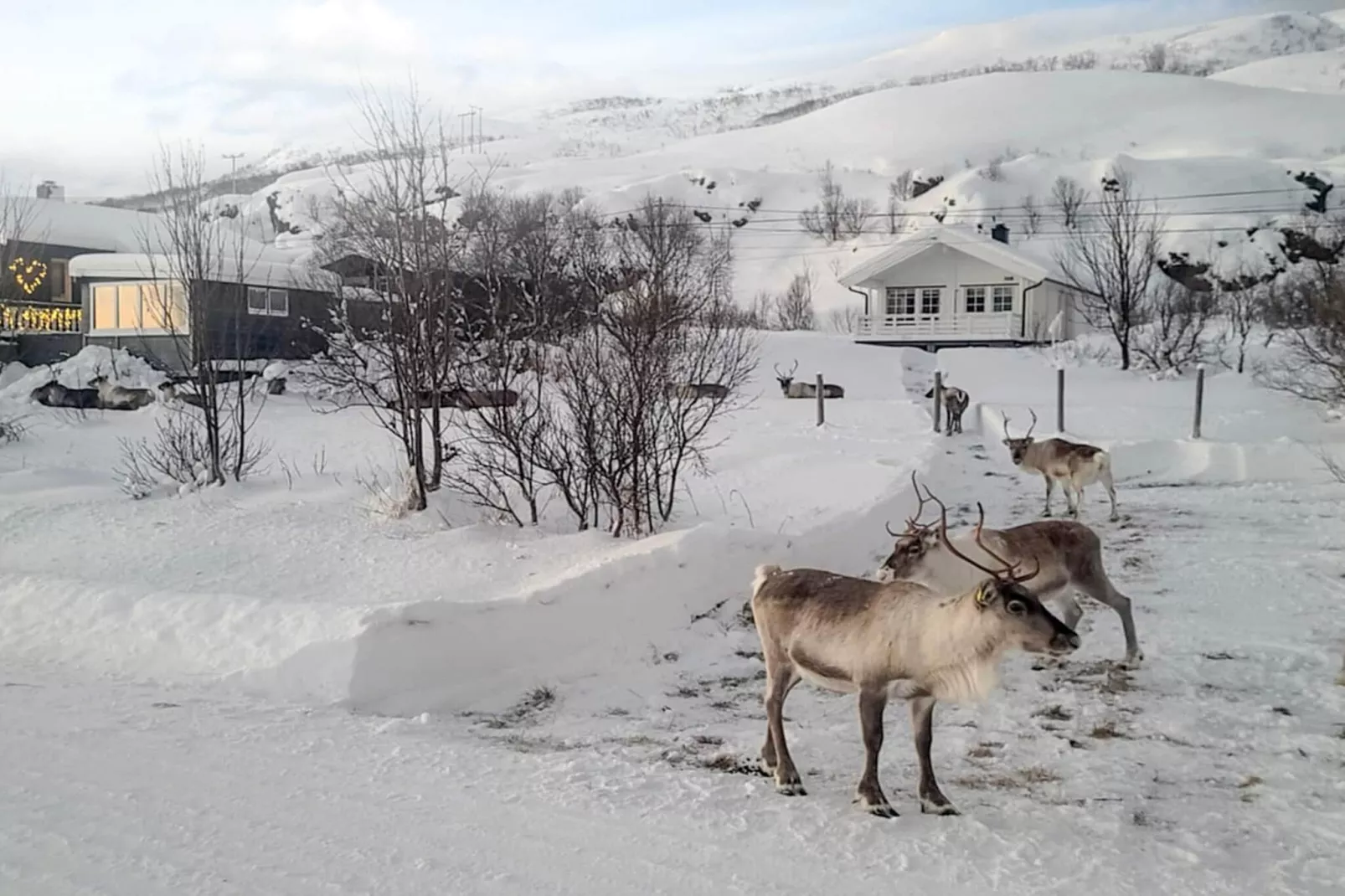 6 Personen vakantie huis in Rebbenes-Buitenlucht
