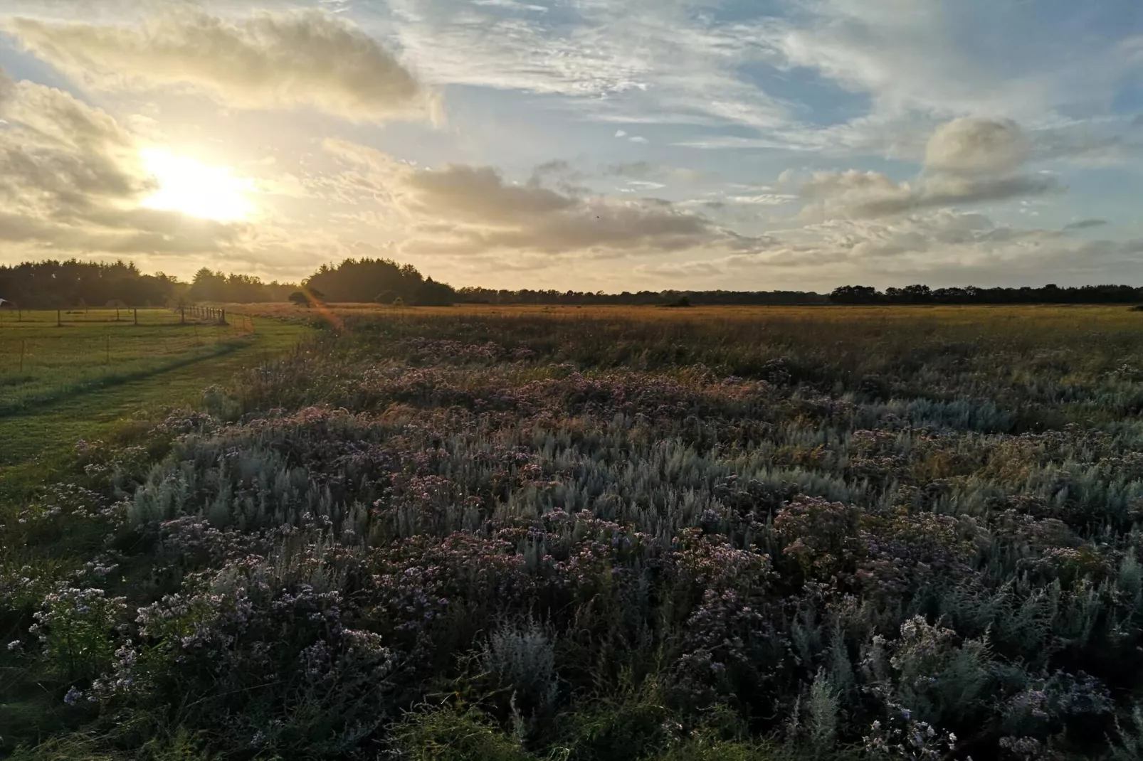 Gezinsvriendelijk paradijs -- By Traum Ferienwohnungen-Niet-getagd