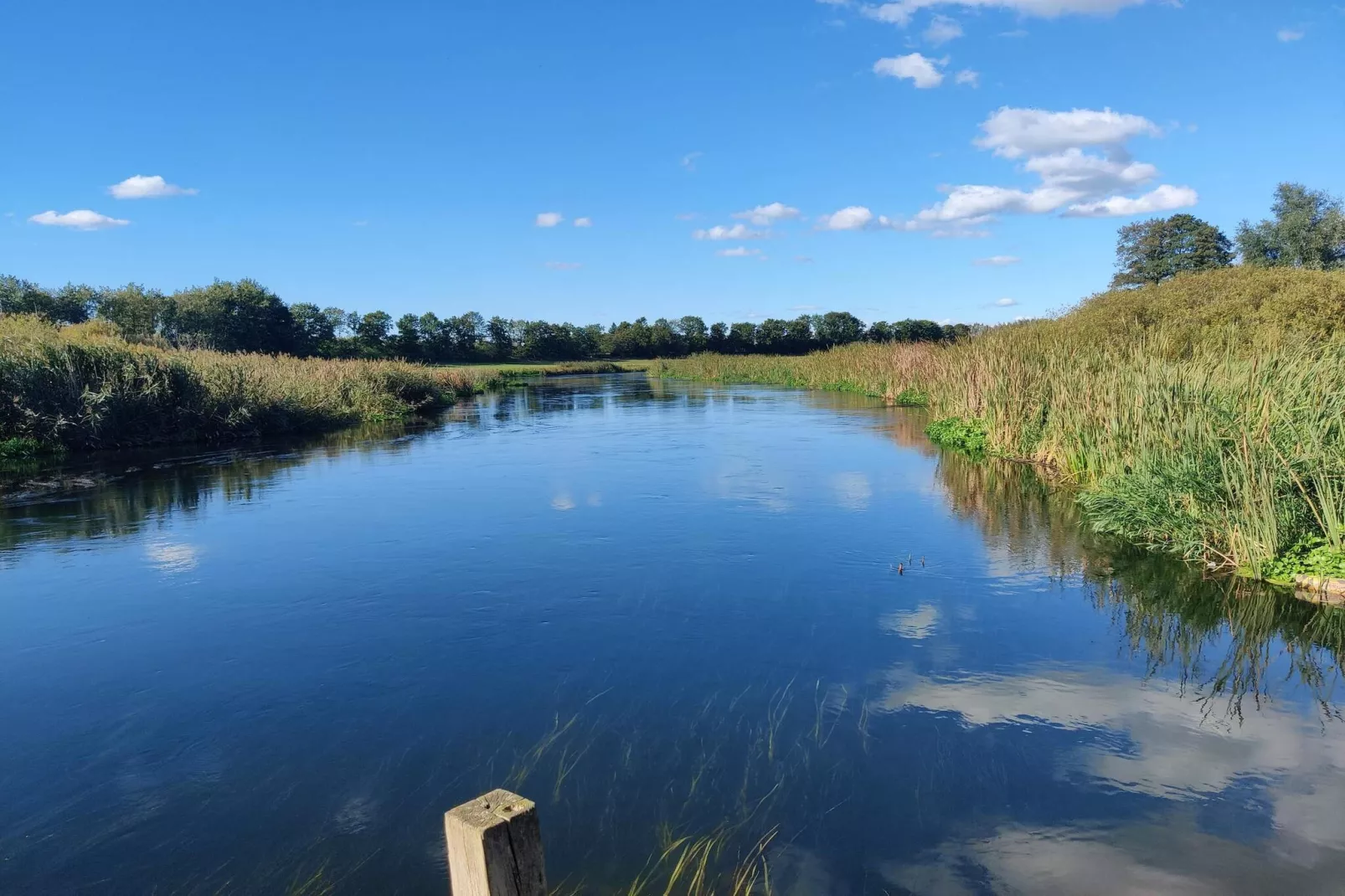 5 persoons vakantie huis in Fårvang-By Traum