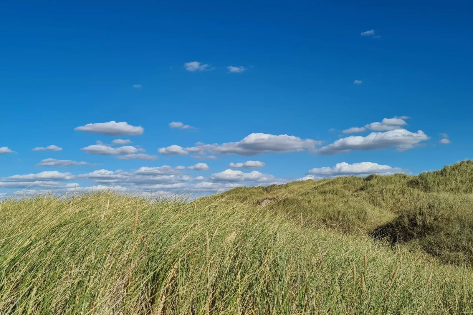 Afgelegen strandtoevlucht in Rodhus-By Traum-Niet-getagd