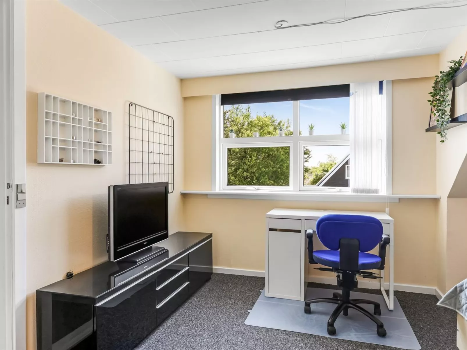 "Veronica" - 700m from the sea