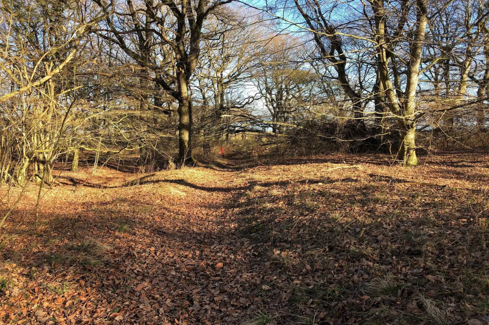 6 persoons vakantie huis in Roslev-Niet-getagd