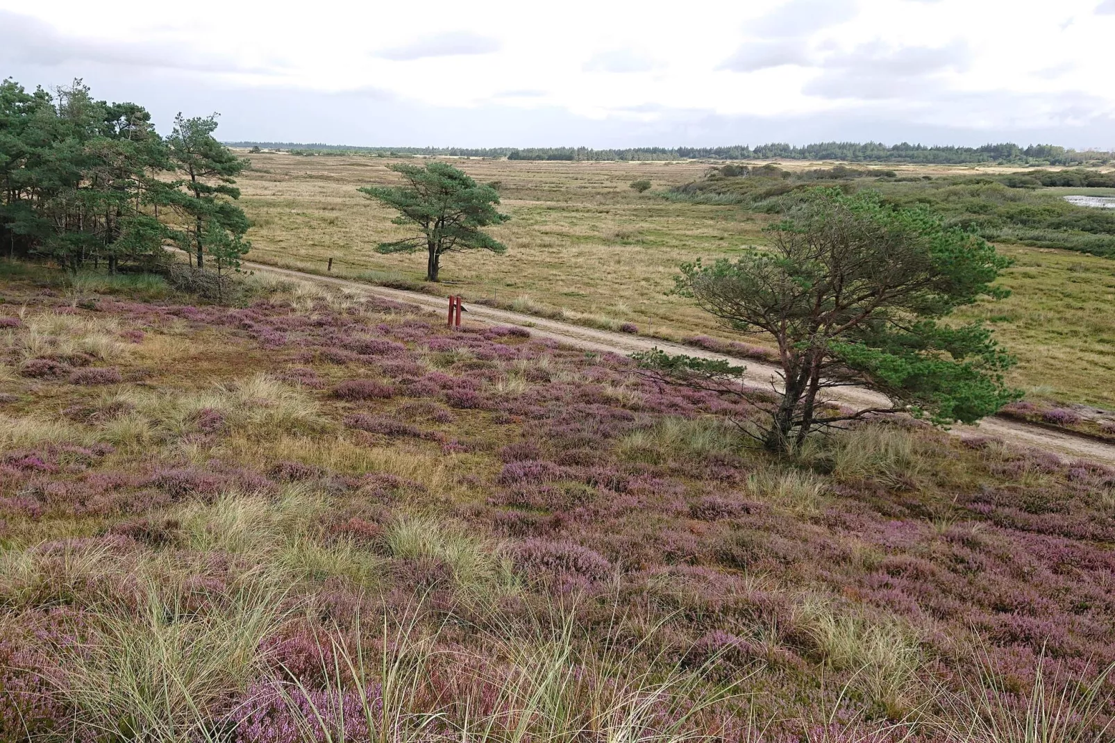 4 persoons vakantie huis in Vejers Strand-By Traum-Niet-getagd