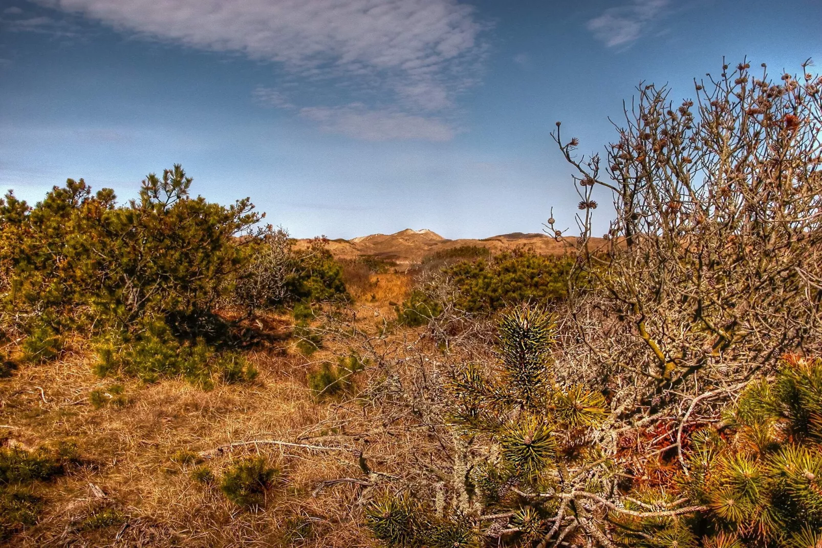 Afgelegen strandtoevlucht in Rodhus-By Traum-Niet-getagd