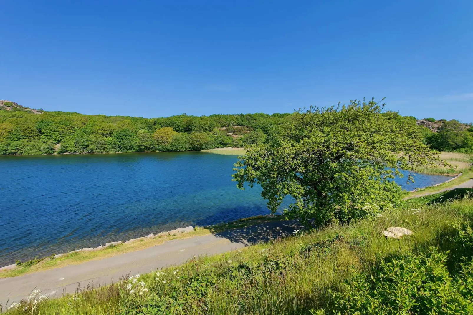 Idyllische huisje in Allinge -- By Traum Ferienwohnungen-Waterzicht