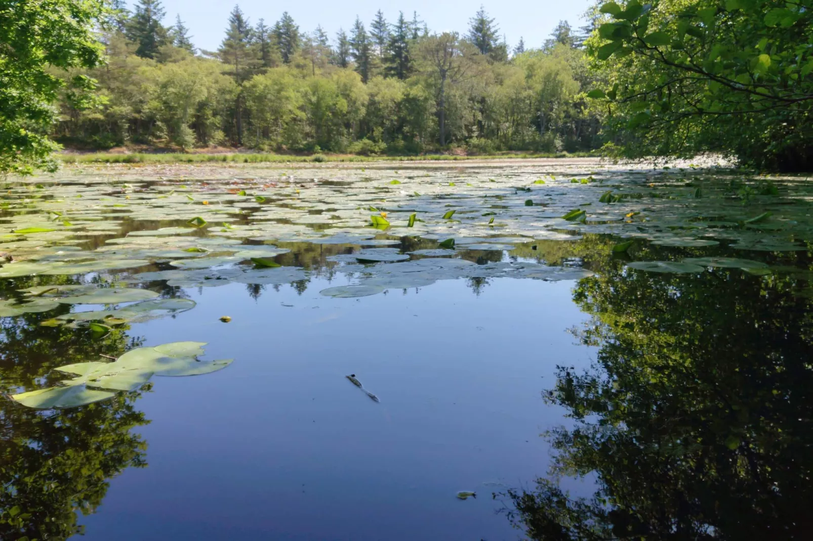 Afgelegen zwembad retraite -- By Traum Ferienwohnungen-Waterzicht