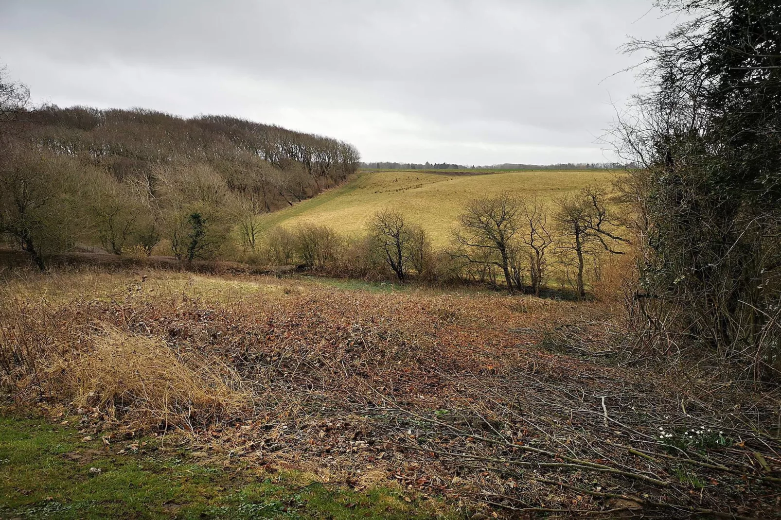 6 persoons vakantie huis in Roslev-Niet-getagd