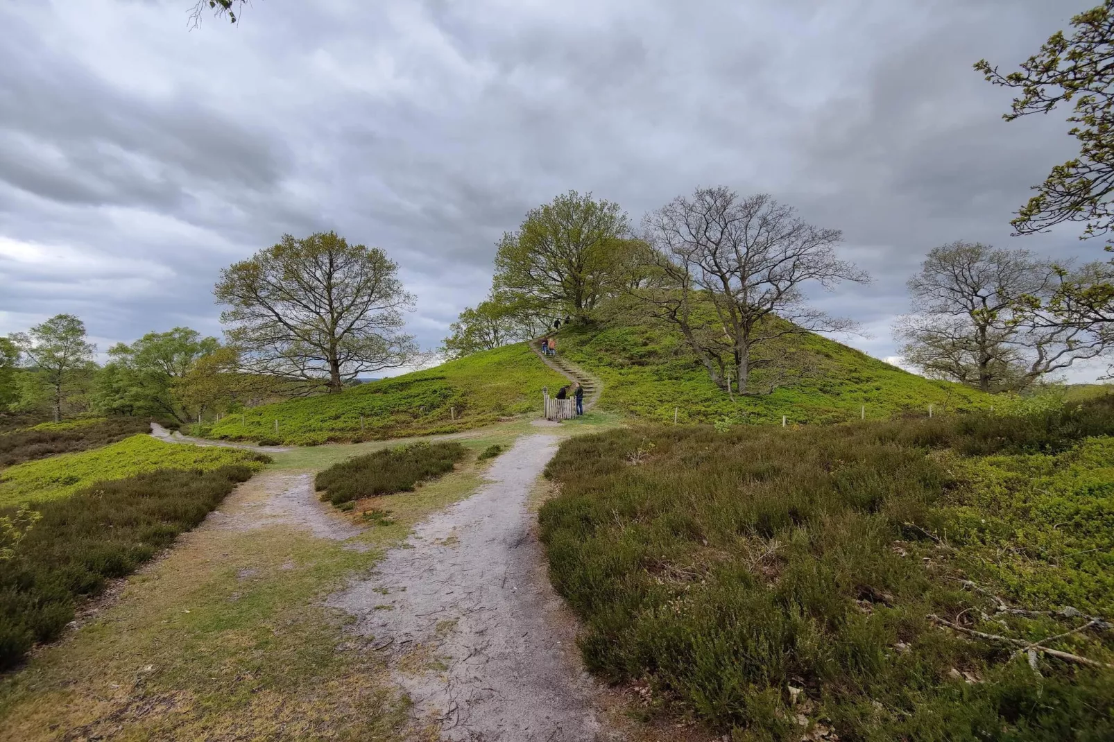 8 persoons vakantie huis in Gjern-By Traum-Niet-getagd