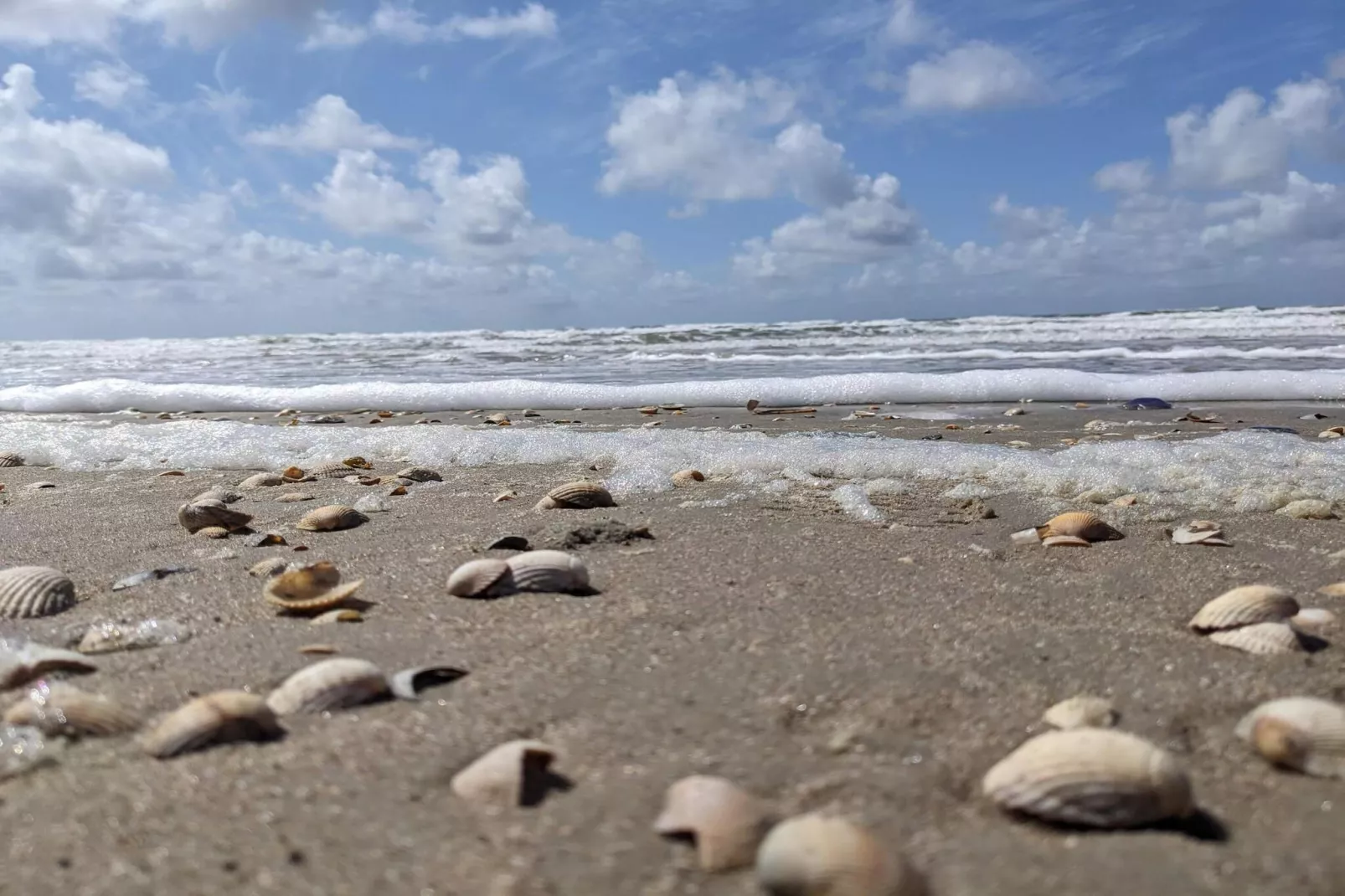 6 persoons vakantie huis in Rømø-Waterzicht