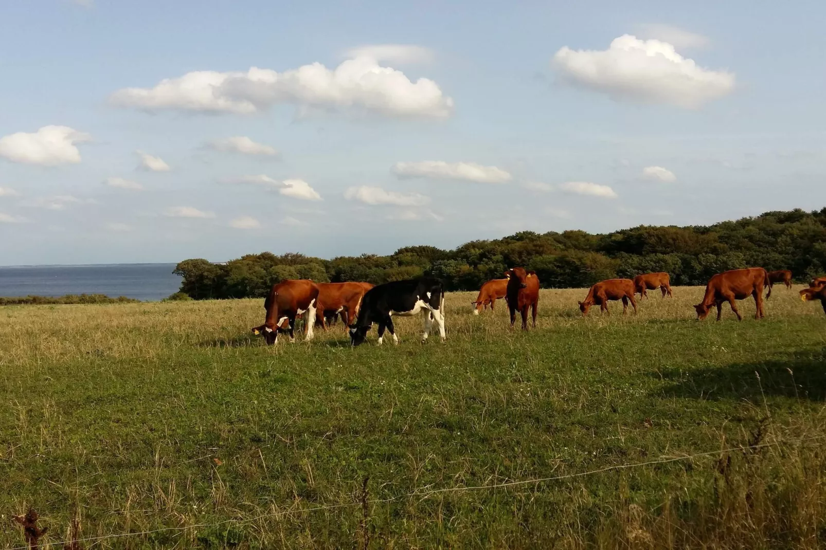 6 persoons vakantie huis in Roslev-Niet-getagd