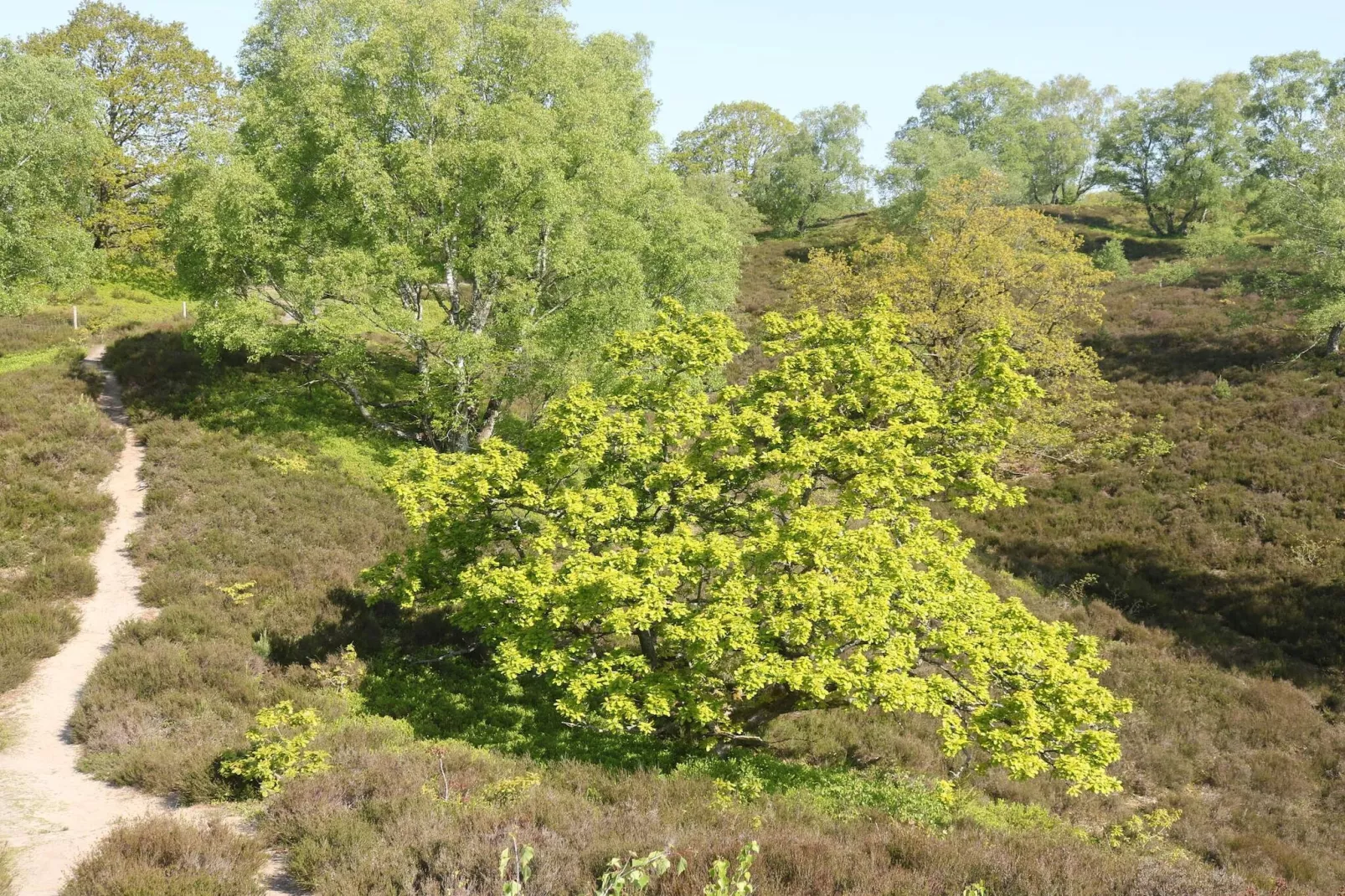 8 persoons vakantie huis in Gjern-By Traum-Niet-getagd