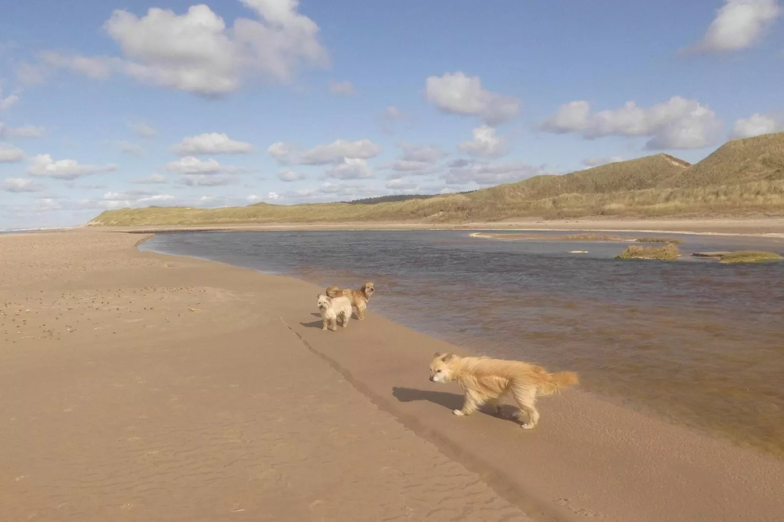 6 persoons vakantie huis in Hjørring-By Traum-Waterzicht