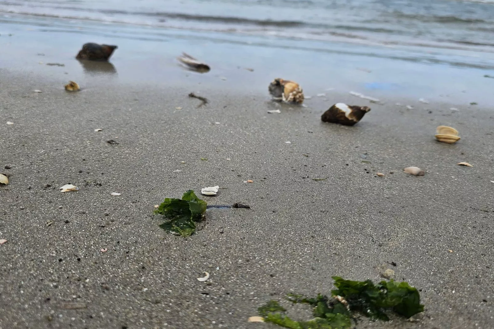 Luxe retraite met zwembad By Traum Ferienwohnungen-Waterzicht