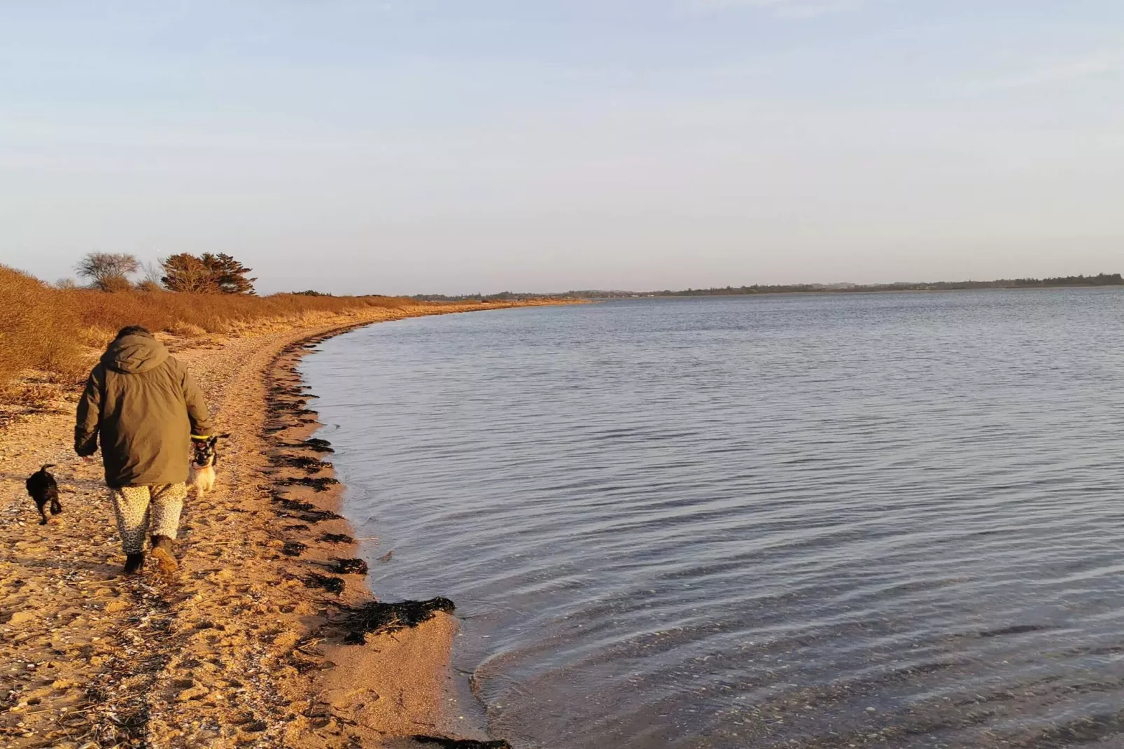 6 persoons vakantie huis in Roslev-Waterzicht