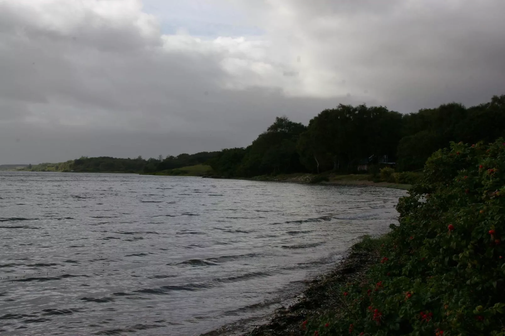 6 persoons vakantie huis in Roslev-Waterzicht