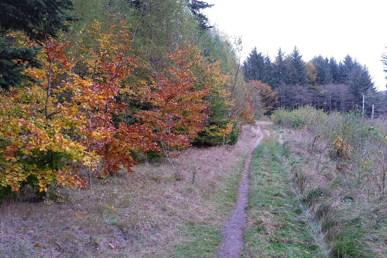 8 persoons vakantie huis in Gjern-By Traum-Niet-getagd