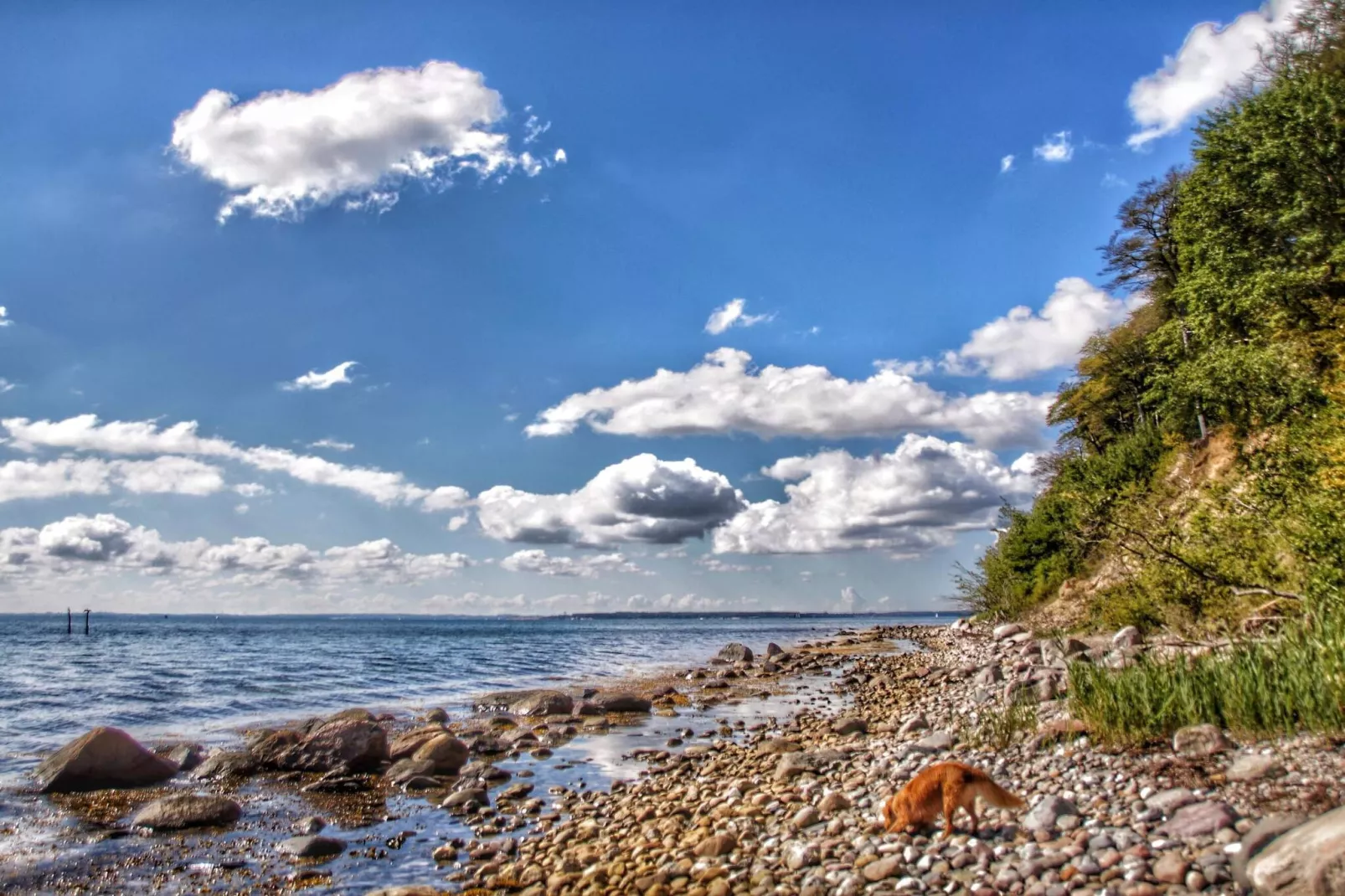 4 persoons vakantie huis in Sønderborg-Waterzicht