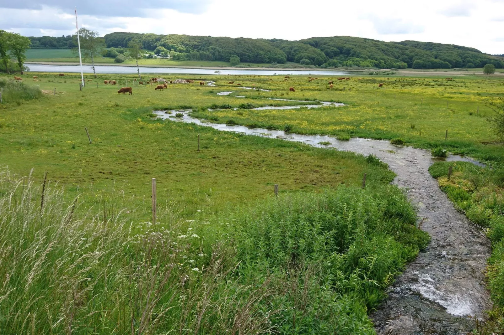 6 persoons vakantie huis in Roslev-Waterzicht