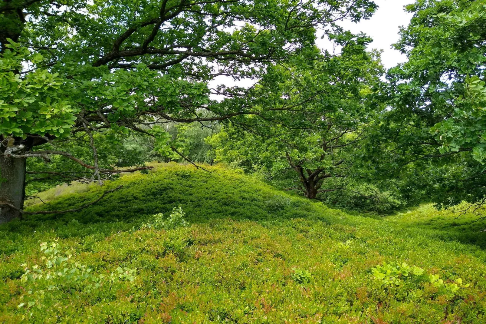 8 persoons vakantie huis in Gjern-By Traum-Niet-getagd