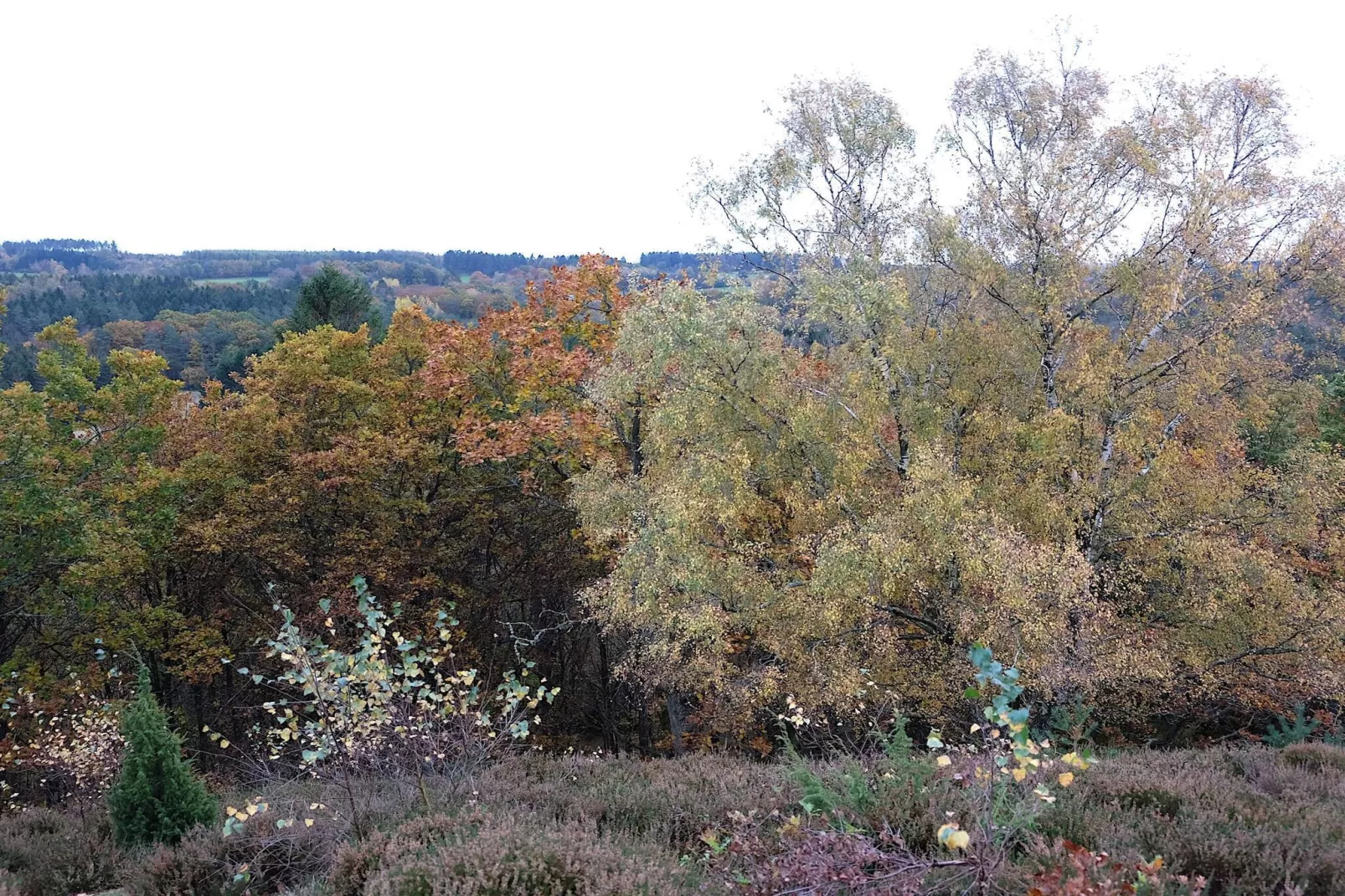 8 persoons vakantie huis in Gjern-By Traum-Niet-getagd