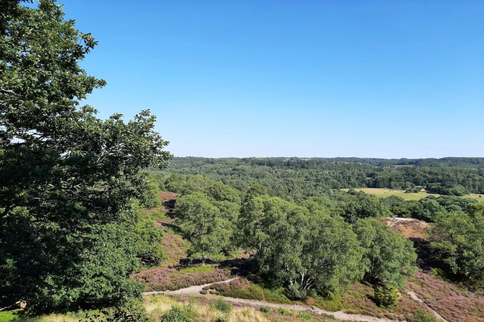 8 persoons vakantie huis in Gjern-By Traum-Niet-getagd