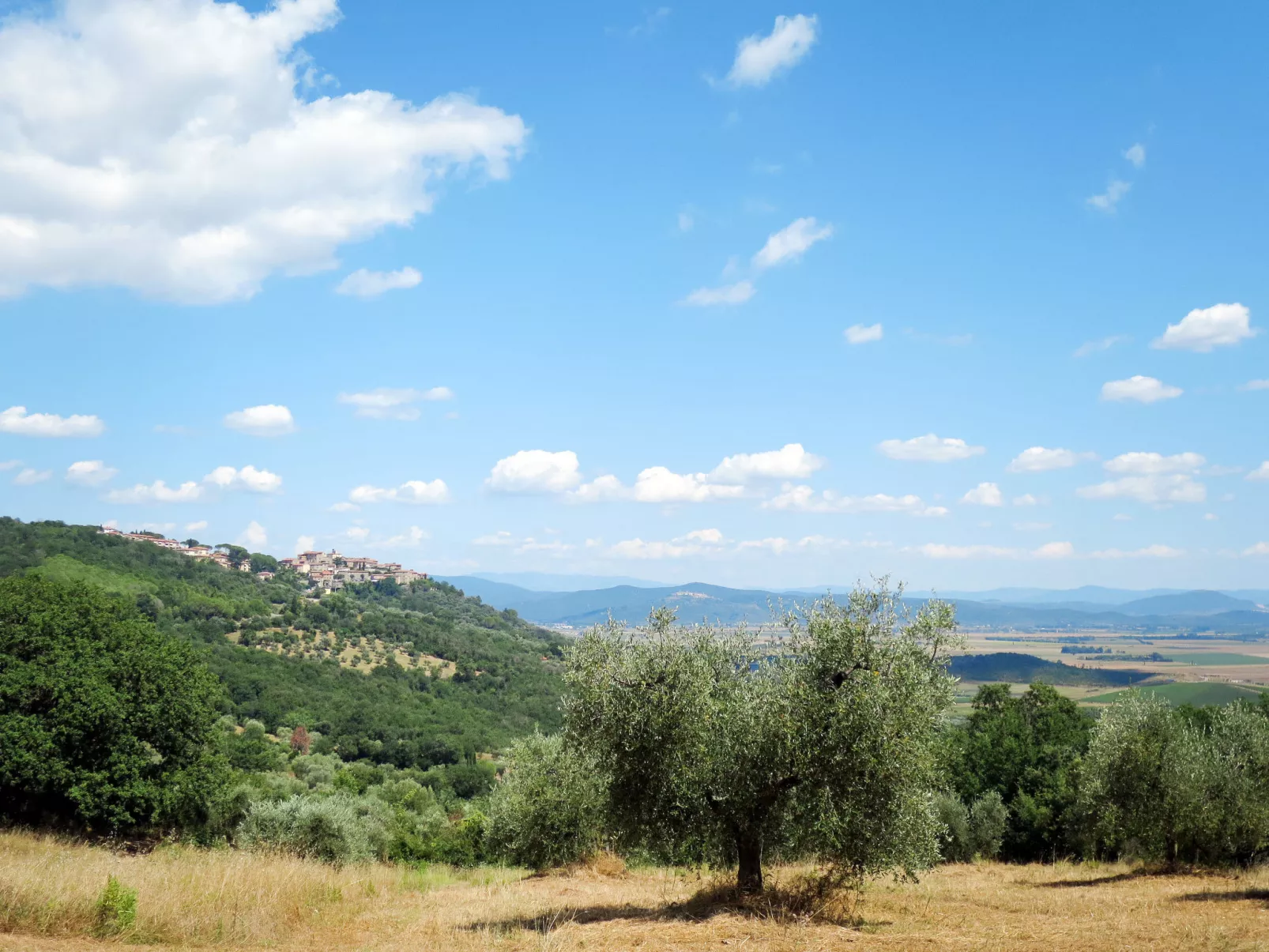 Steffi's House-Omgeving