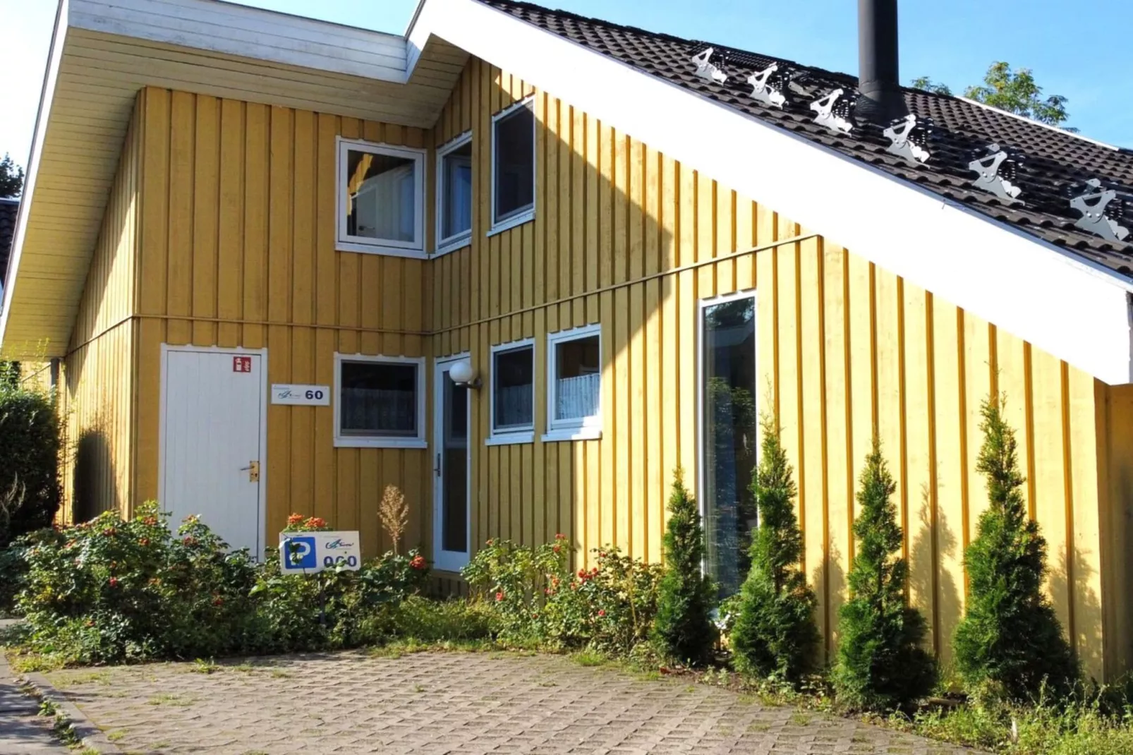 FH Wildgans Comfort Nr 60