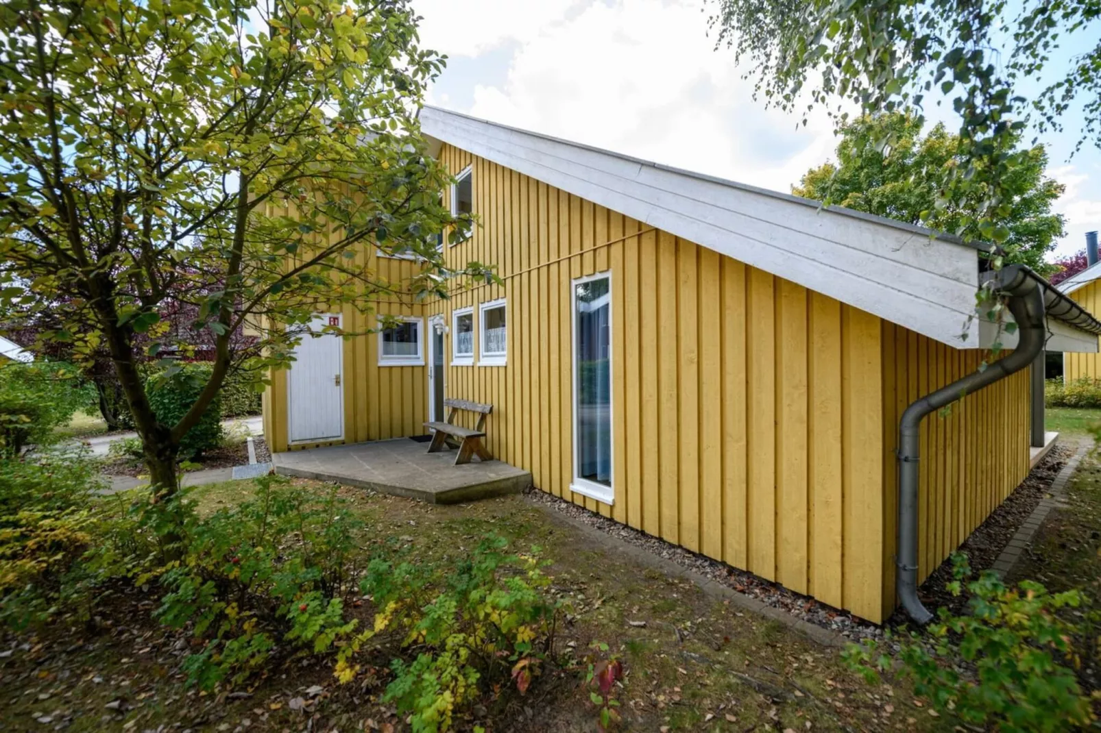 FH Wildgans Comfort Nr 204-Buitenkant zomer