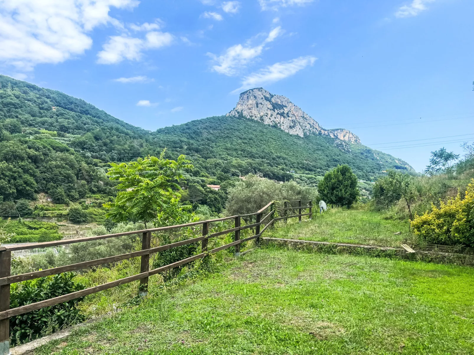 Le radici dell´ulivo-Buiten