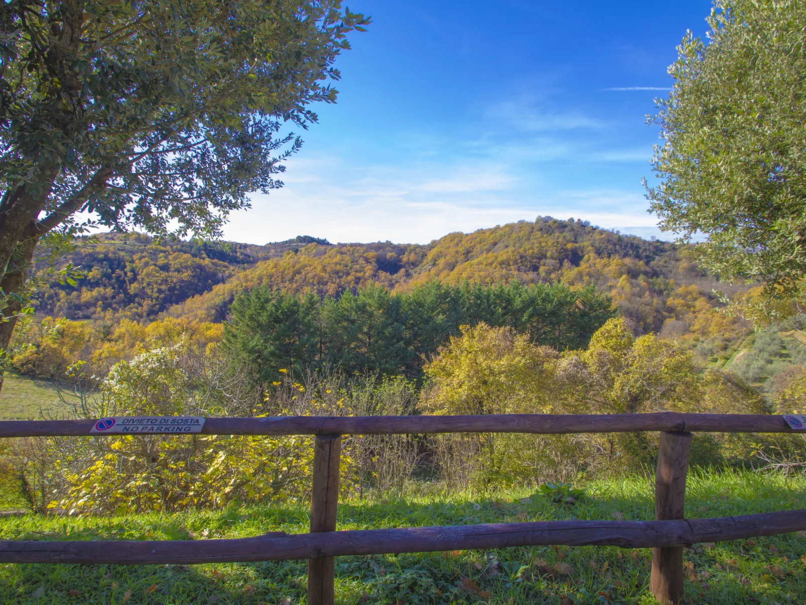 Il Frassino del Borgo di Ghiora-Buiten