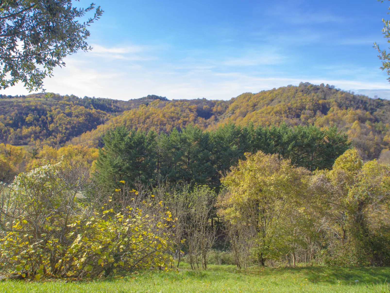 Il Frassino del Borgo di Ghiora-Buiten