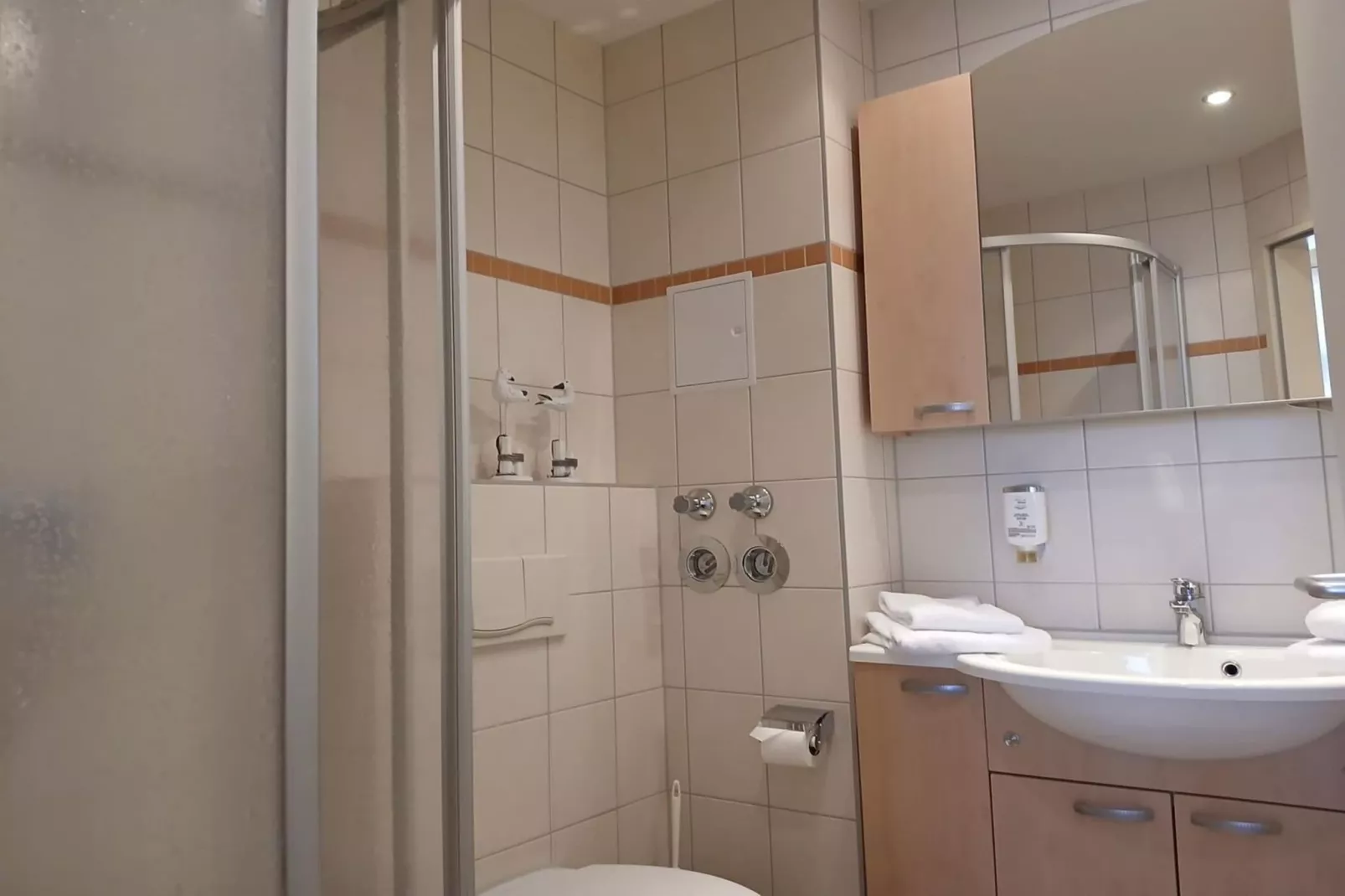 Schneeeule 219-Badkamer