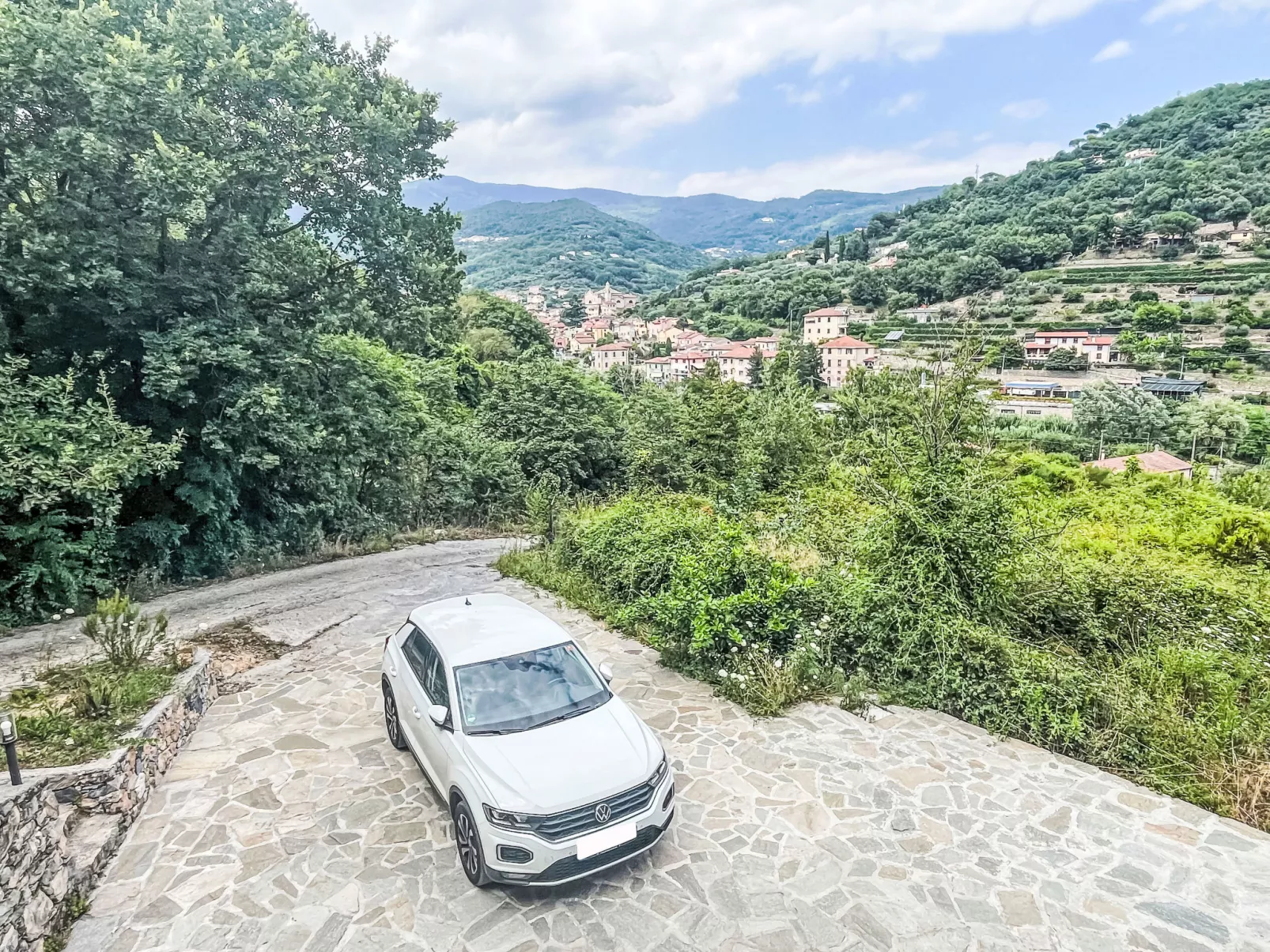 Le radici dell´ulivo-Buiten