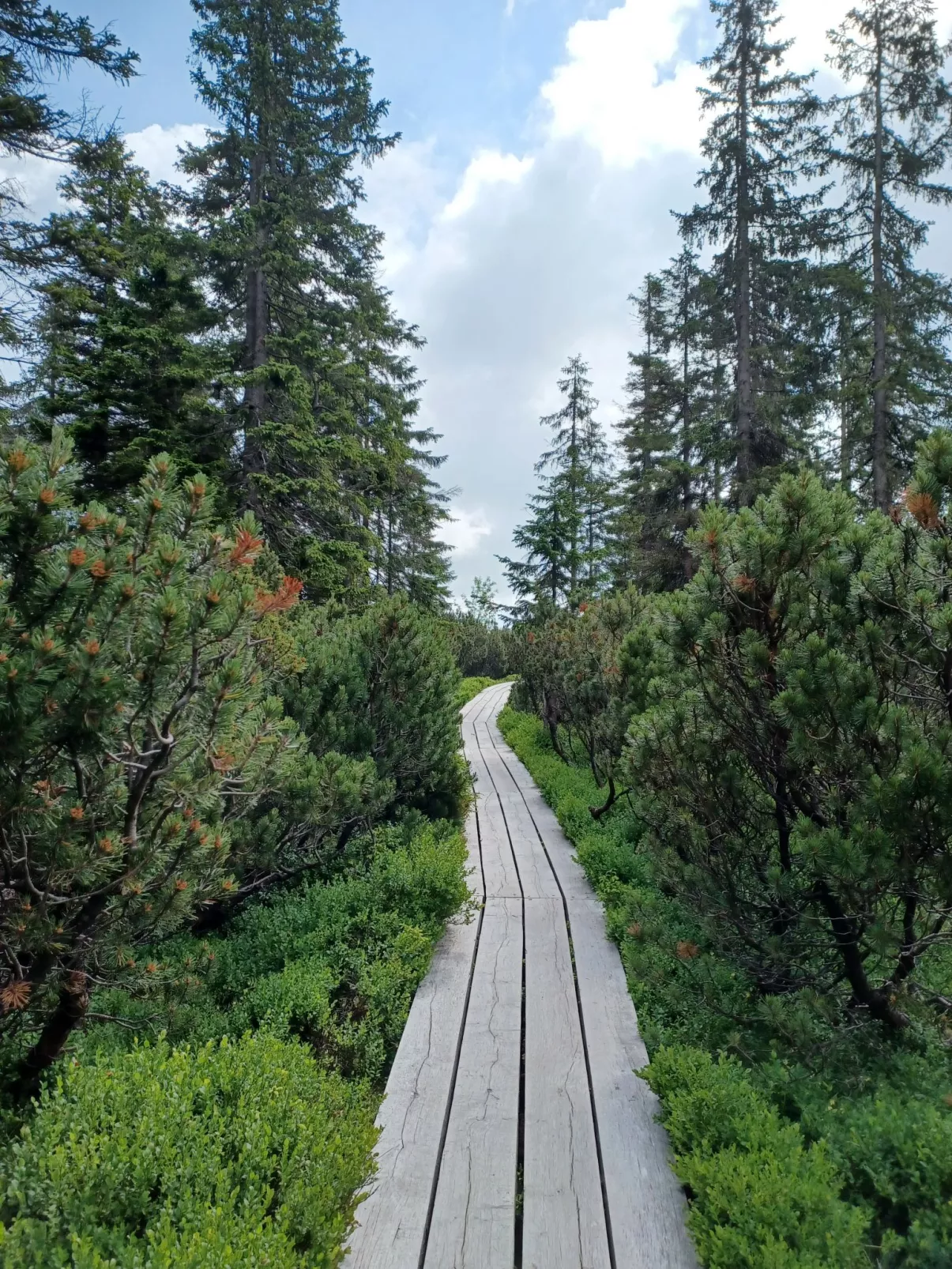 Penzion Natty-Omgeving