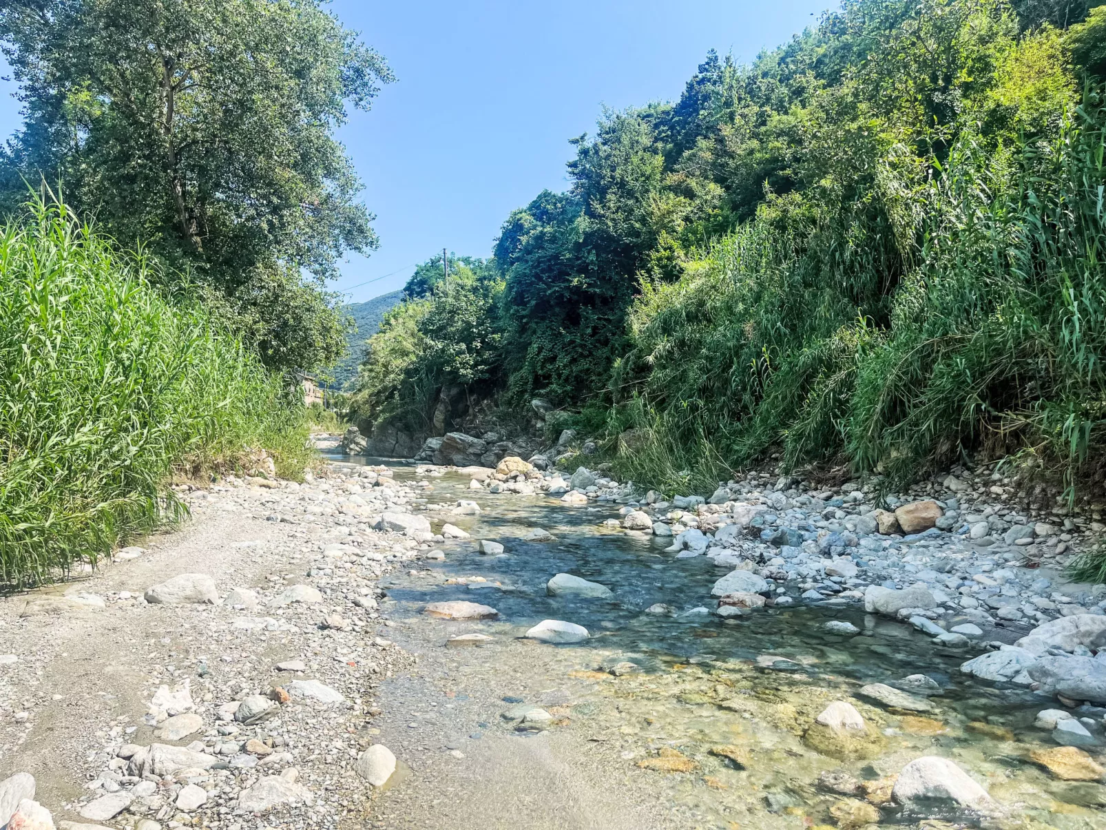 Le radici dell´ulivo-Omgeving