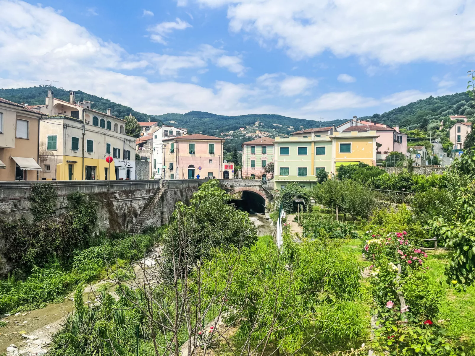 Le radici dell´ulivo-Omgeving