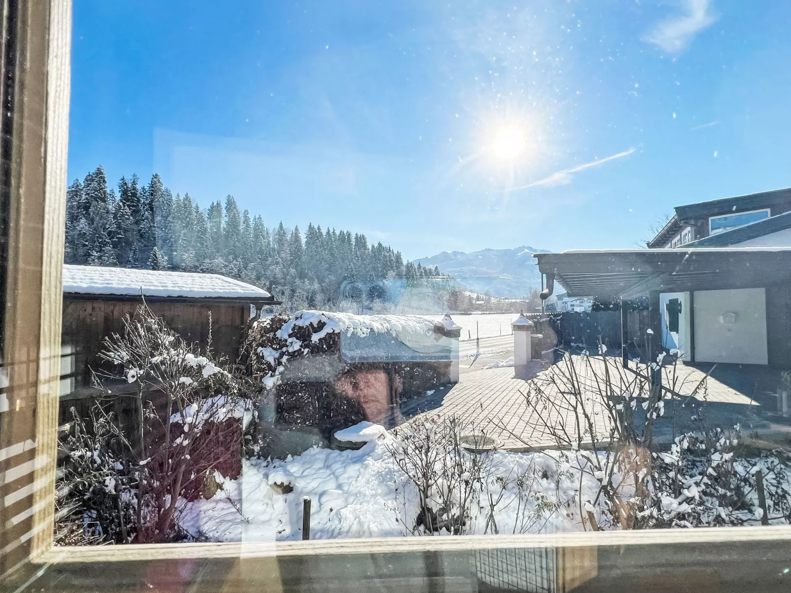 Blauer Elefant-Buiten