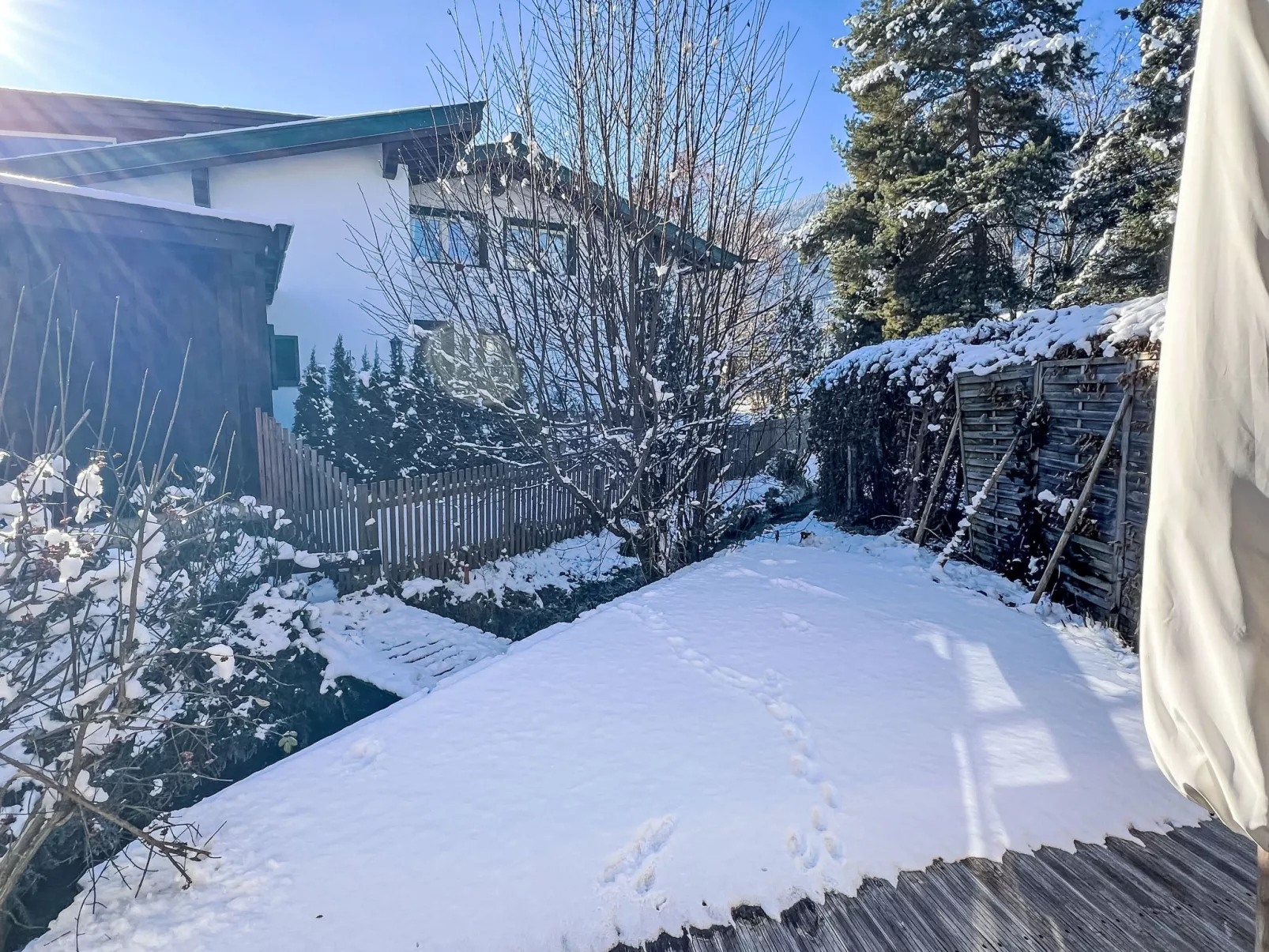 Blauer Elefant-Buiten