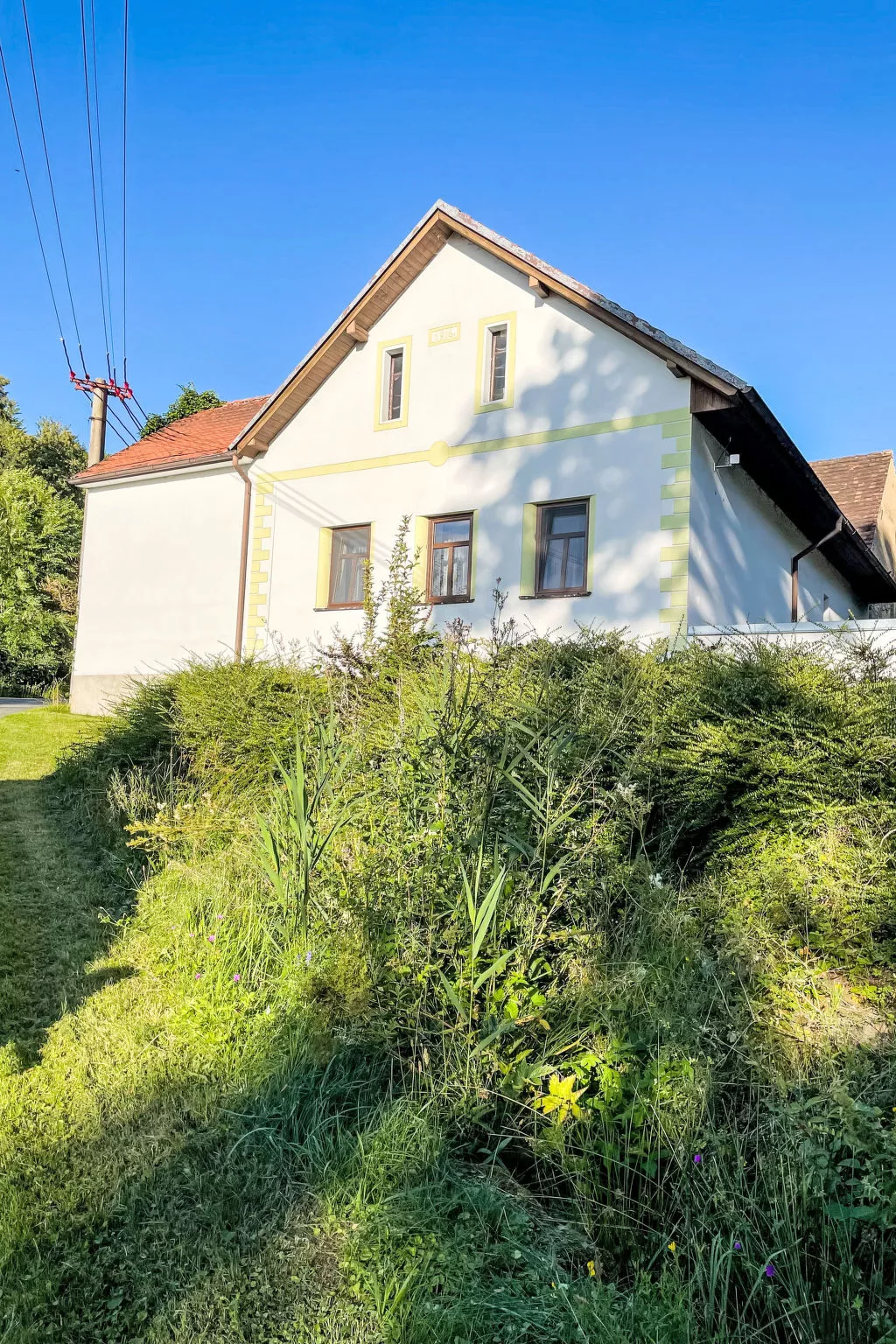 Forrest Haven Vodice