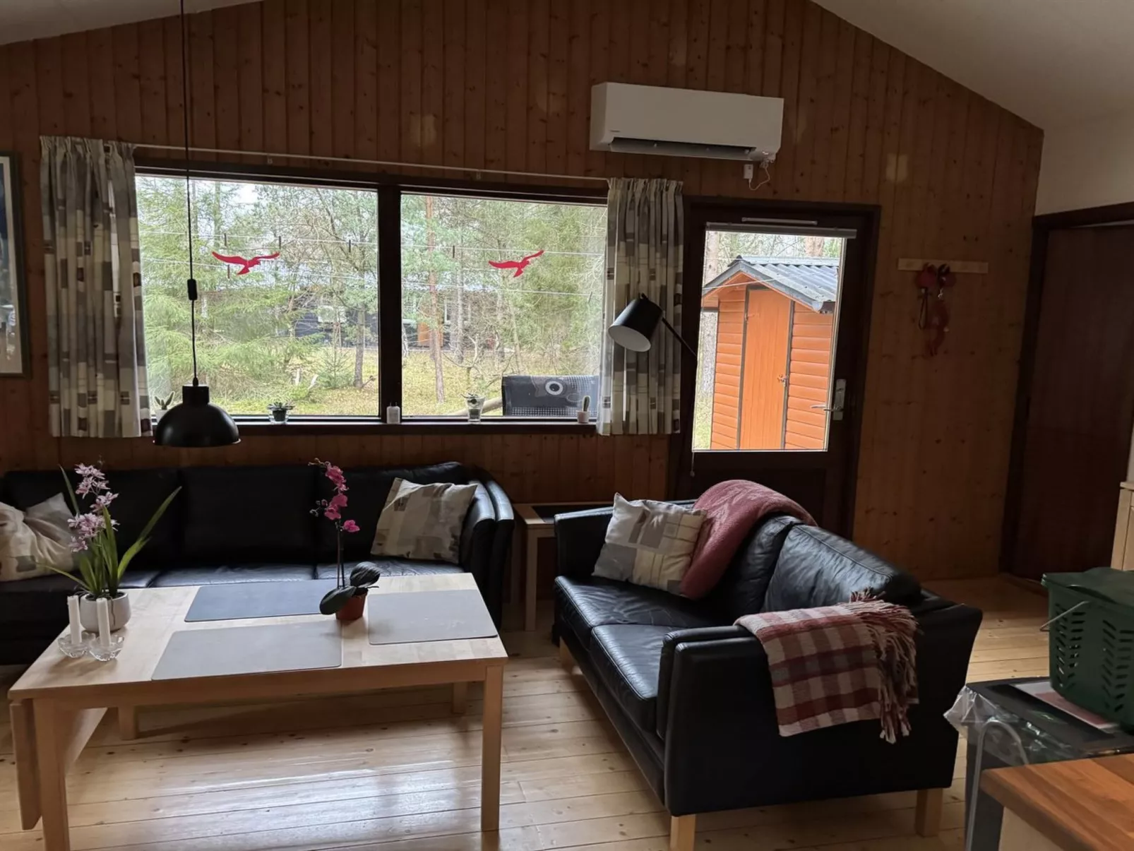 "Lökea" -  from the sea